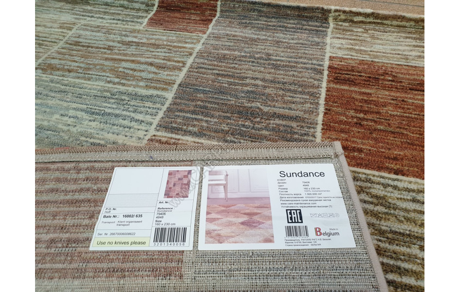Синтетический ковер Ragolle Sundance 79406 4848